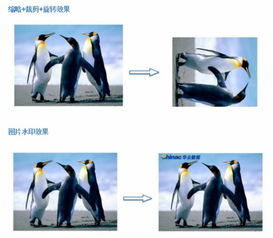 華云數(shù)據(jù)對象存儲服務COS 富媒體服務之圖片處理與存儲支持